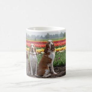 Bracco_italiano group.png kaffemugg