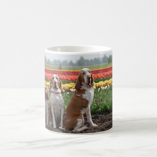 Bracco_italiano group.png kaffemugg (Center)