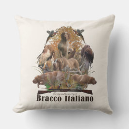 Bracco italiano kudde