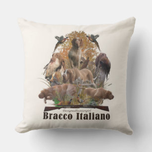 Bracco italiano kudde