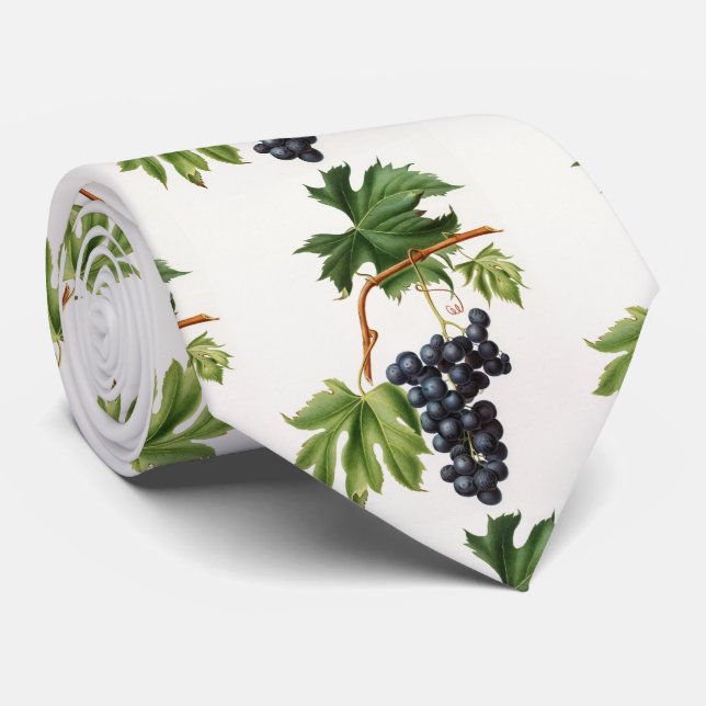 Brachetto-druva av Giorgio Gallesio Neck Tie Slips (Rullad)