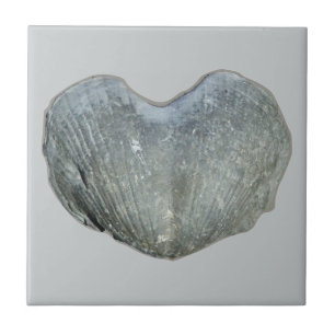 Brachiopod hjärta kakelplatta