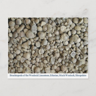 Brachiopodfossilar från Wenlock Limestone Vykort