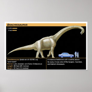 Brachiosaurus - Biologi Juraperioden Poster