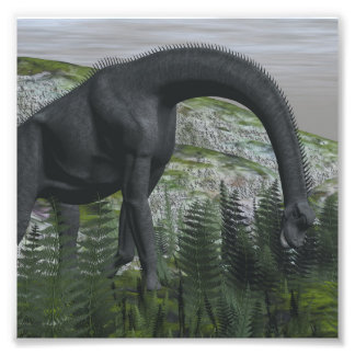 Brachiosaurus dinosaur ätande fern - 3D-rendering Fototryck