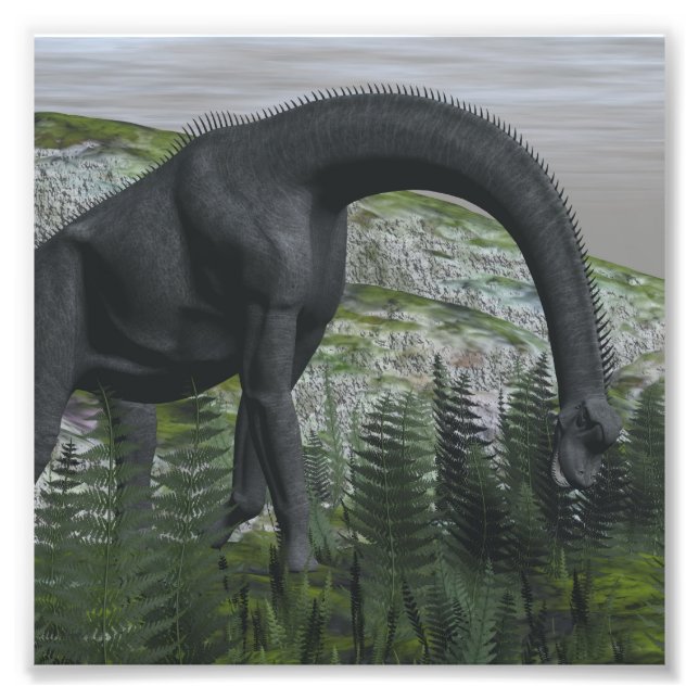 Brachiosaurus dinosaur ätande fern - 3D-rendering Fototryck (Framsidan)
