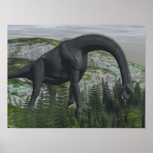 Brachiosaurus dinosaur ätande fern - 3D-rendering Poster