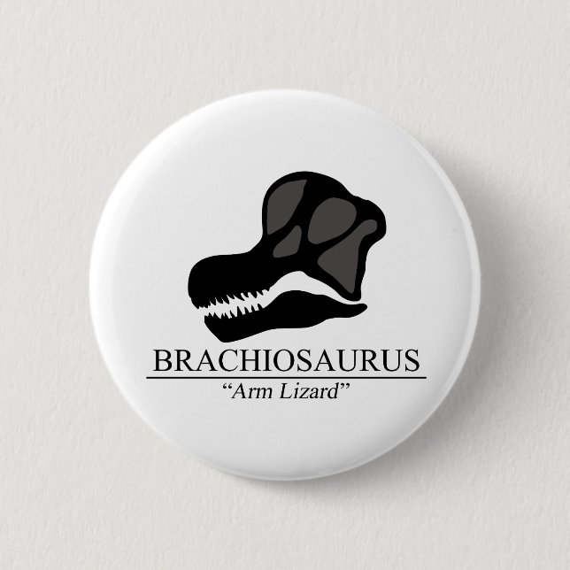 Brachiosaurus Skull Knapp (Framsida)