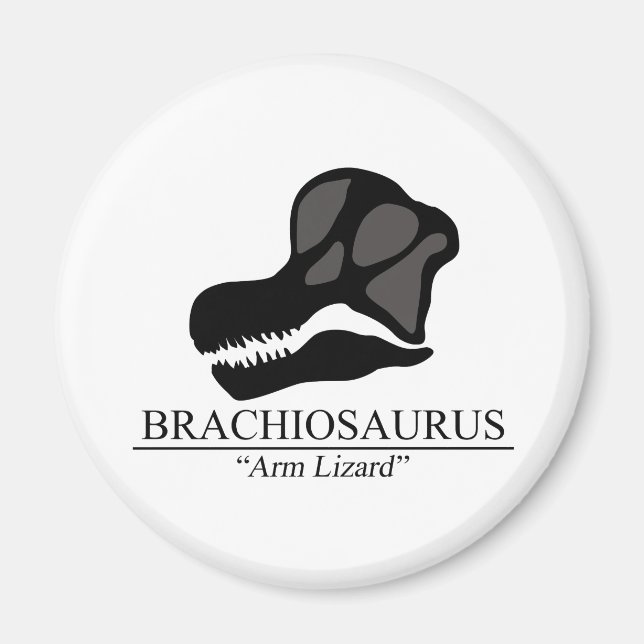 Brachiosaurus Skull Magnet (Framsidan)