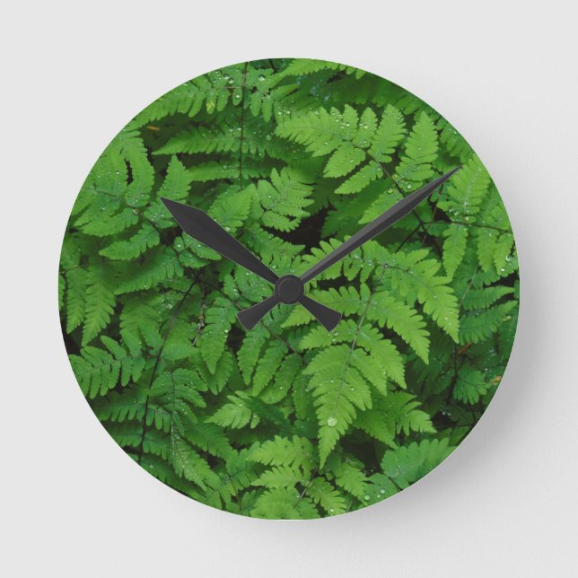 Bracken fern med regn, delstaten Washington Rund Klocka (Framsida)