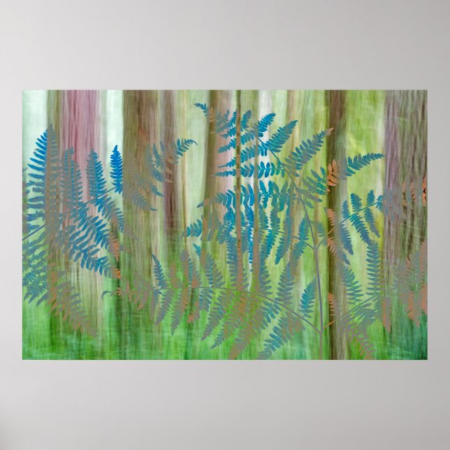 Bracken Ferns och Forest | Seabeck, WA Poster (Framsidan)