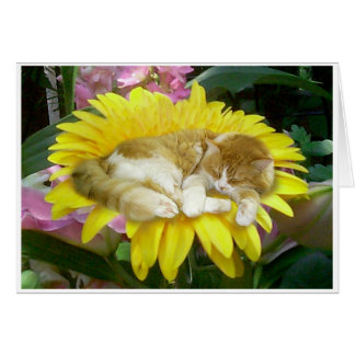 Bräcklig vår hälsningskort