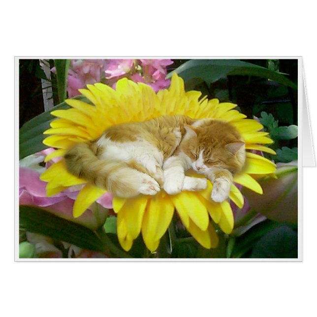 Bräcklig vår hälsningskort (Framsidan Horizontal)