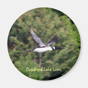 Bradford magnet för sjöLoon