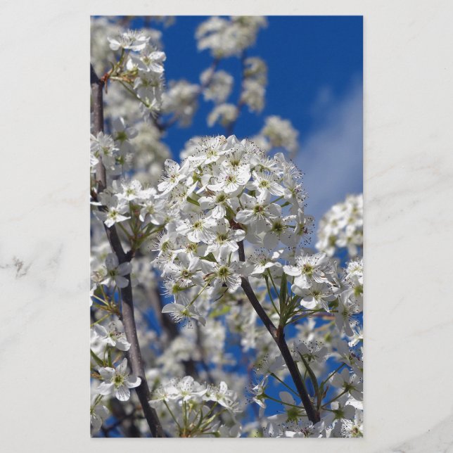 Bradford Päron Blommar Brevpapper (Framsida)