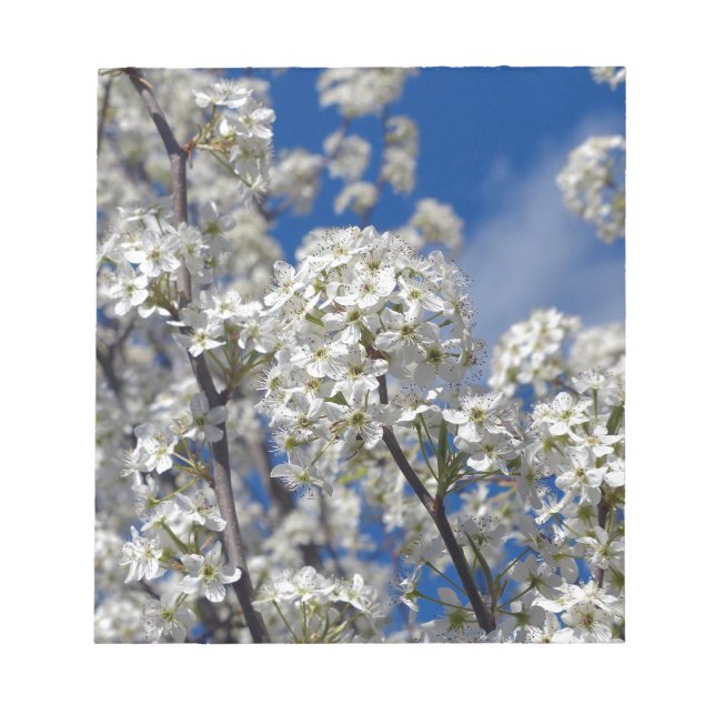 Bradford Pear Blooms Anteckningsblock (Framsida)