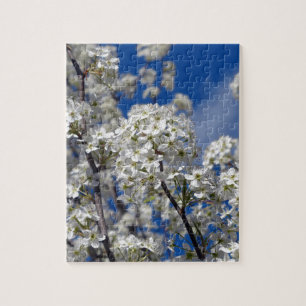 Bradford Pear Blooms Pussel