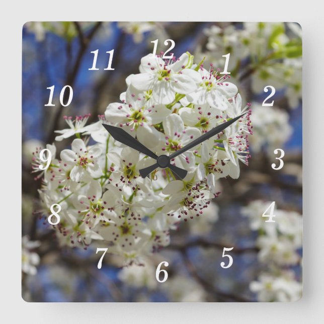 Bradford Pear Blooms Wall Clock Fyrkantig Klocka (Framsida)