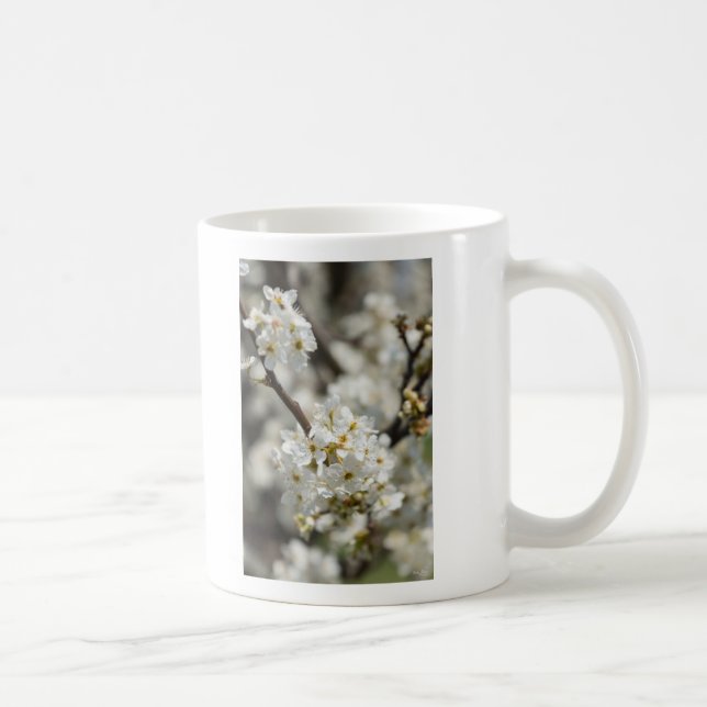 Bradford Select Focus Kaffemugg (Höger)