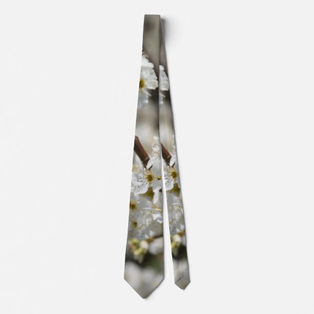 Bradford Select Focus Tie Slips (Framsida)