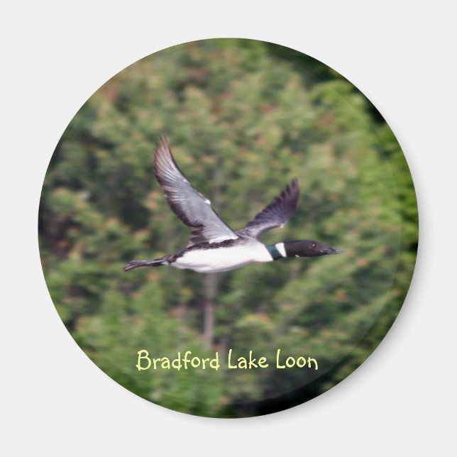 Bradford Sjö Loon Magnet (Framsidan)