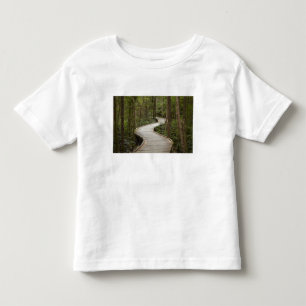 Brädgång till Nelson Falls, Franklin - Gordon T Shirt