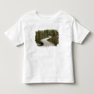 Brädgång till Nelson Falls, Franklin - Gordon Tee Shirt