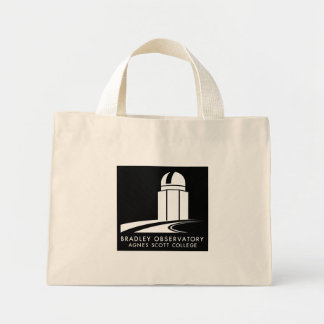 Bradley Observatory Tote Bag Mini Tygkasse