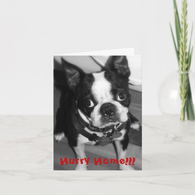 Brådskahem Kort (Framsida)