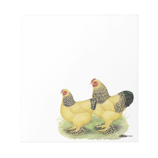 Brahma Buff Pair Anteckningsblock (Framsida)