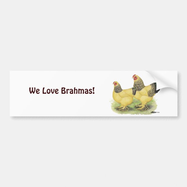 Brahma Buff Pair Bildekal (Framsidan)