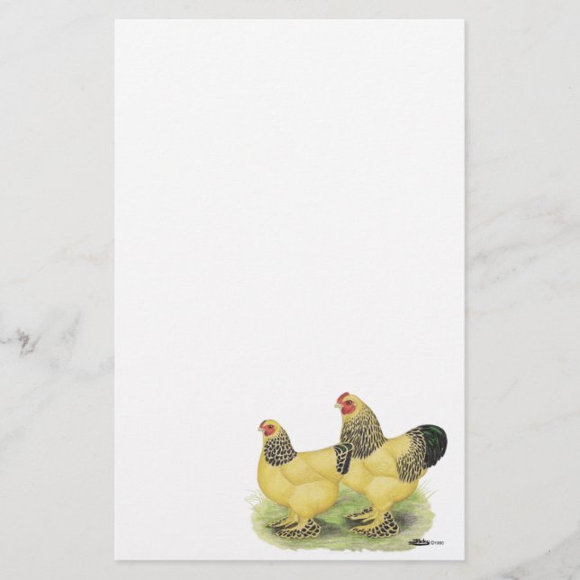 Brahma Buff Pair Brevpapper (Framsida)