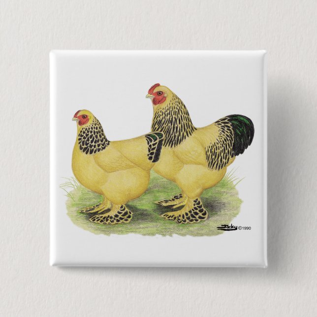 Brahma Buff Pair Knapp (Framsida)