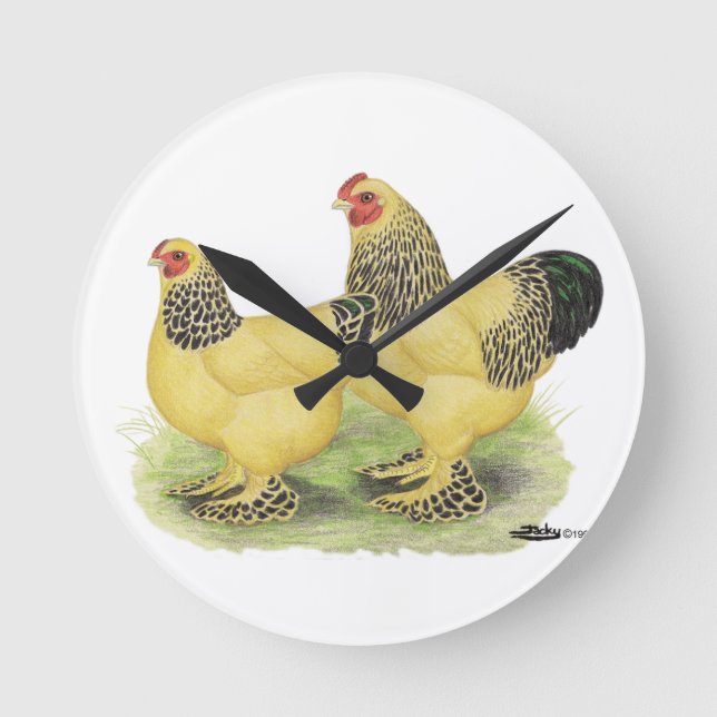 Brahma Buff Pair Rund Klocka (Framsida)