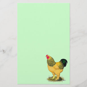 Brahma: Buff Tupp Brevpapper