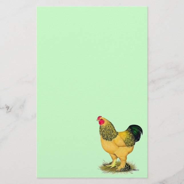 Brahma: Buff Tupp Brevpapper (Framsida)