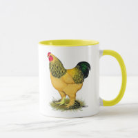 Brahma:  Buff Tupp