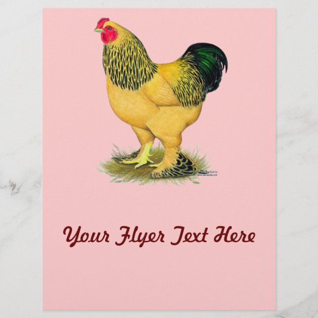 Brahma: Buff Tupp Reklamblad (Framsidan)