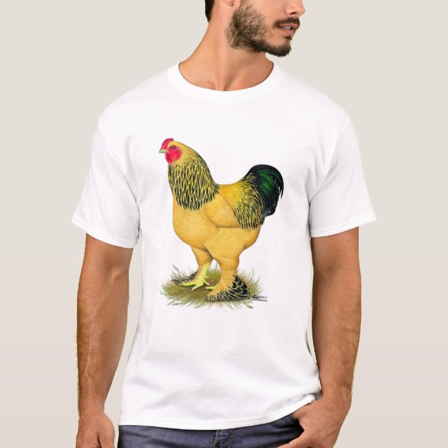 Brahma: Buff Tupp T-shirt (Framsida)