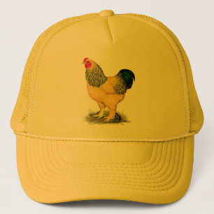 Brahma: Buff Tupp Truckerkeps