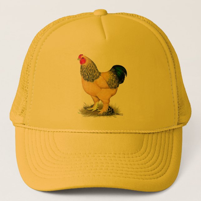 Brahma: Buff Tupp Truckerkeps (Framsida)