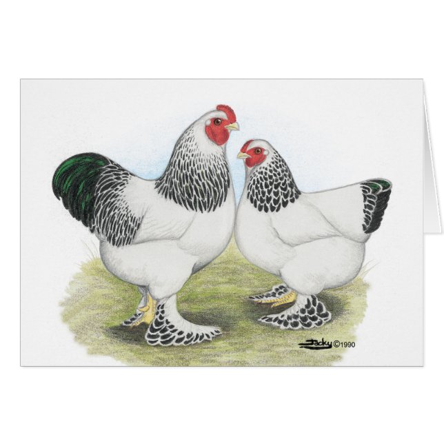 Brahma: Light2 Hälsningskort (Framsidan Horizontal)