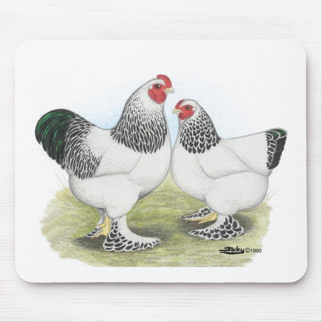 Brahma: Light2 Musmatta (Framsidan)