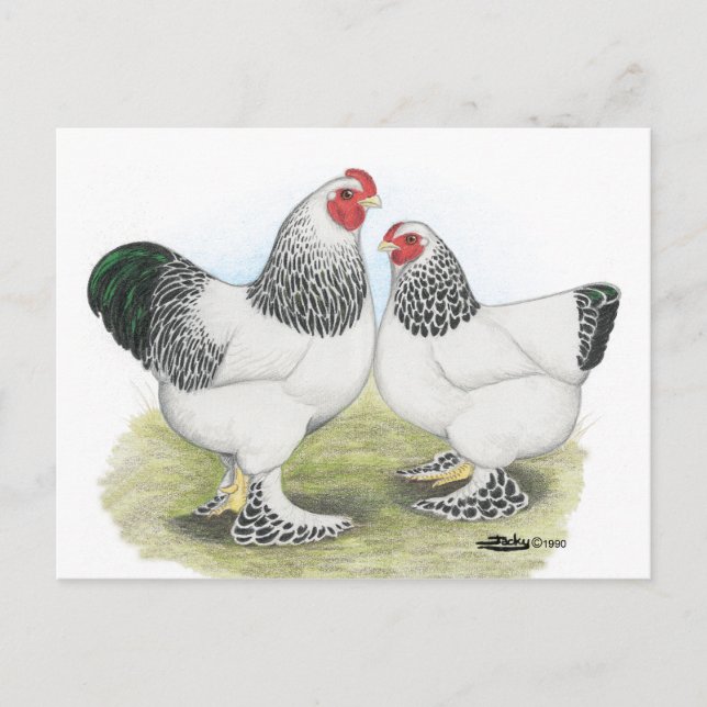 Brahma: Light2 Vykort (Framsida)