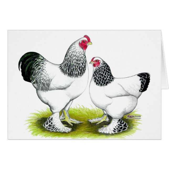 Brahma: Light Hälsningskort (Framsidan Horizontal)