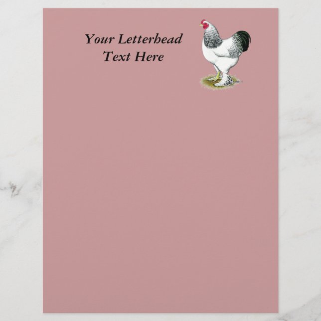 Brahma: Light Tupp (Framsida)