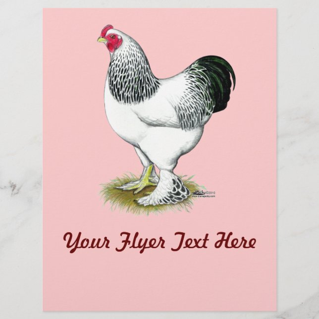 Brahma: Light Tupp Reklamblad (Framsidan)