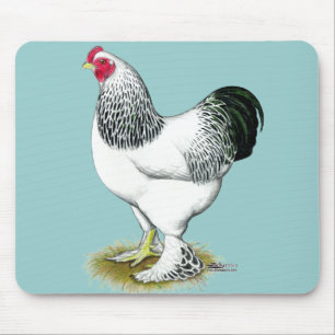 Brahma: Ljus tupp Musmatta