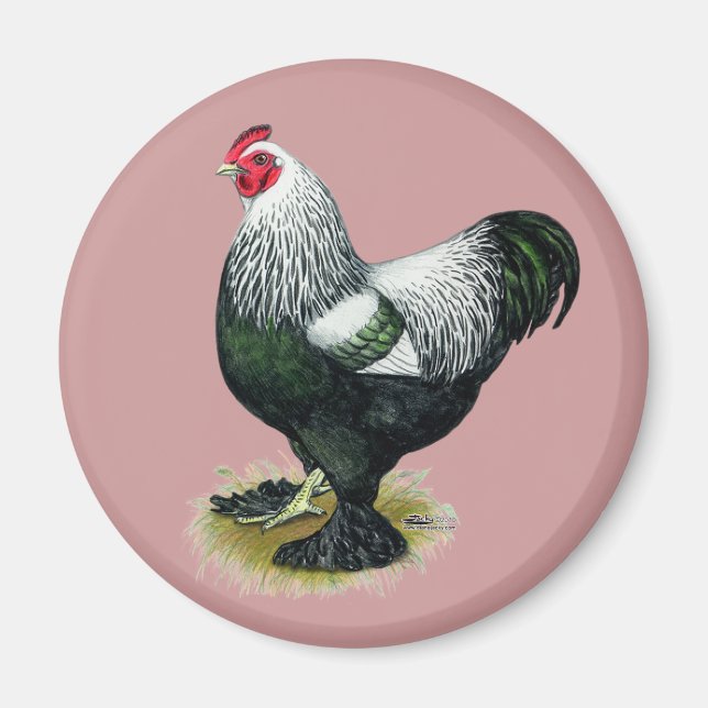 Brahma: Mörk Tupp Magnet (Framsidan)
