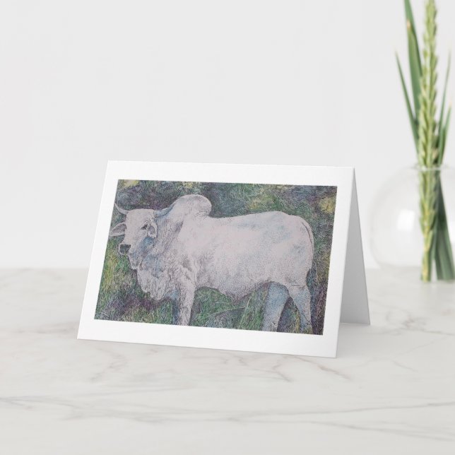 BRAHMA-TJUR KORT (Framsida)